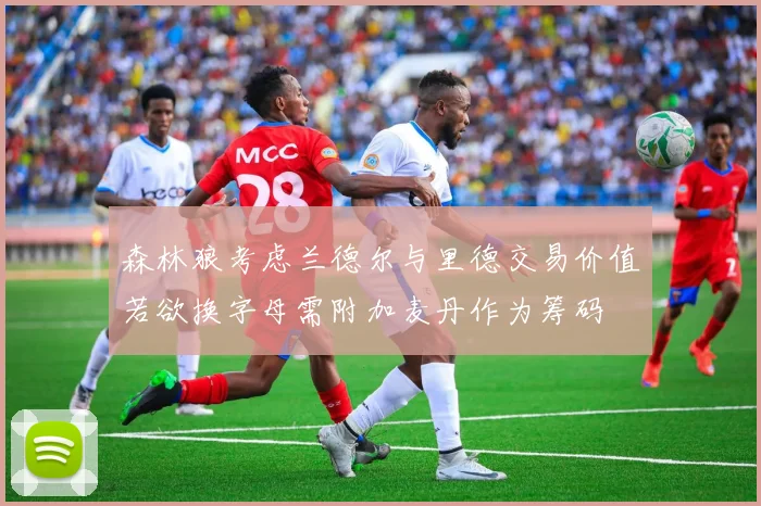 森林狼考虑兰德尔与里德交易价值若欲换字母需附加麦丹作为筹码
